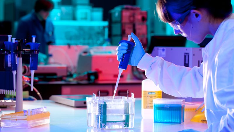 Scientist working in laboratory